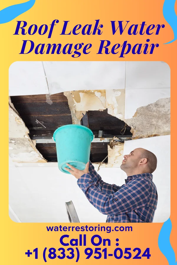 Roof Leak Water Damage Repair in Hill Country Village, TX